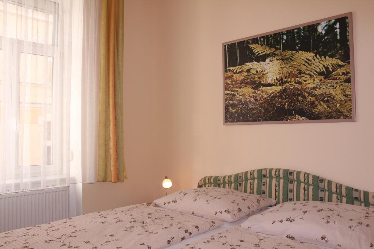 Homely Apartments Villa Christiana Marianske Lazne Exterior foto